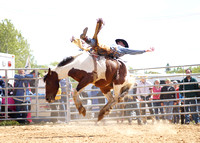 Carney Roundup Rodeo